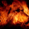 FlameWolf