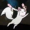 AKittyC