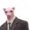 Cr0wnBr0k3n