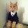 El-Gato