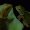 David8hisfish
