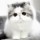 lollypopgirl229