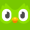 Duolingo-Owl