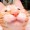 Meowwwwwwwwww