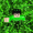 ReallyCoil