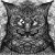 RJ0498