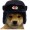 Russiandog