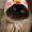 FloofyCat123