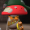 SheLLBeLL