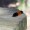 SquirrelArtist