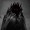 Dark-Shamless