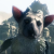 silverwolf22034