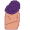 cardamon