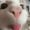 RadioCat