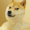stronk-doge