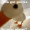 Chillduck