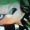 squid-boy