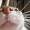 Qr-cat