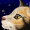LunarFox