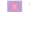fracassonatural