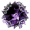 xoraa