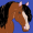Horsygirl