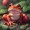 SoggyTheFroggy