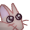 a-barking-cat