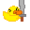 Bongo1233180