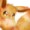 Eevee135