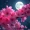 Luna-BloodMoon