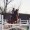 EquestrianCrazy