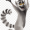 LEMURr