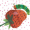 XxStrxwberryxX