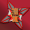 NinjaEVX