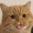 koolcatyayyy