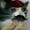 ToneDeafBard