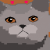 TigerRose
