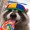 RaccoonsForLife