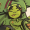 Chizuki