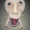 Chi1dz-x-Ch40z