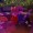 AllisonMayday