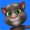 Tom-the-cat