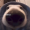Bepboc