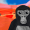 Chimayblue1