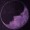 Ellliee