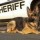 police-dog