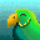 ilikebirds
