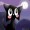 chirpkat