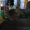 Mah-dog-and-cat